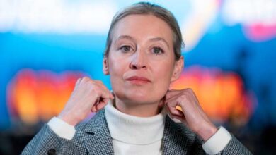 Alice Weidel Ohrprothese