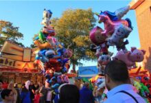 Markt wissen solltest