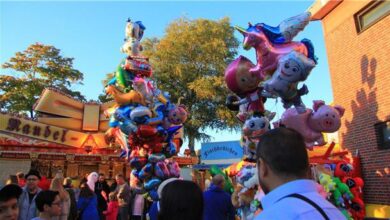 Markt wissen solltest