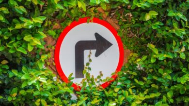 Verkehrs- und Hinweisschilder in der Marsch: Was rund um Westerfleht wirklich zählt